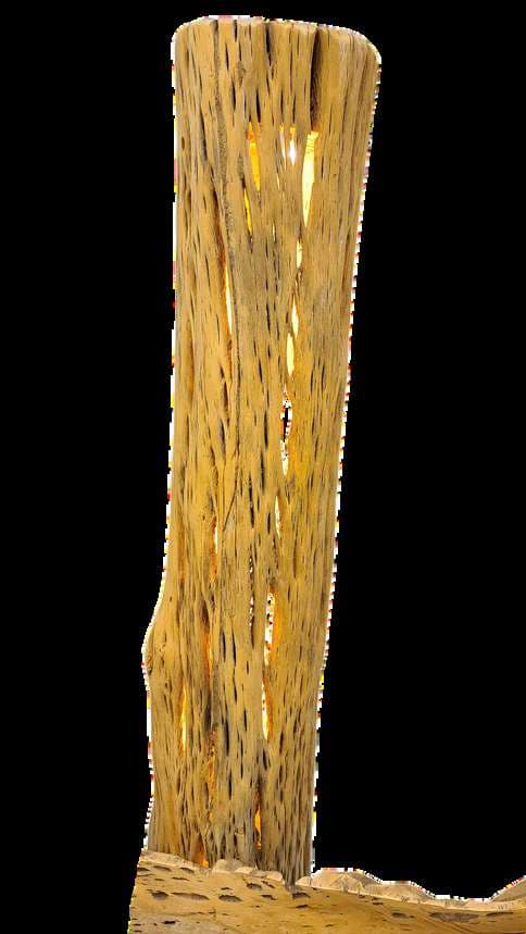 Cactus wood stand lit as a lamp with LED strips inside its ribs