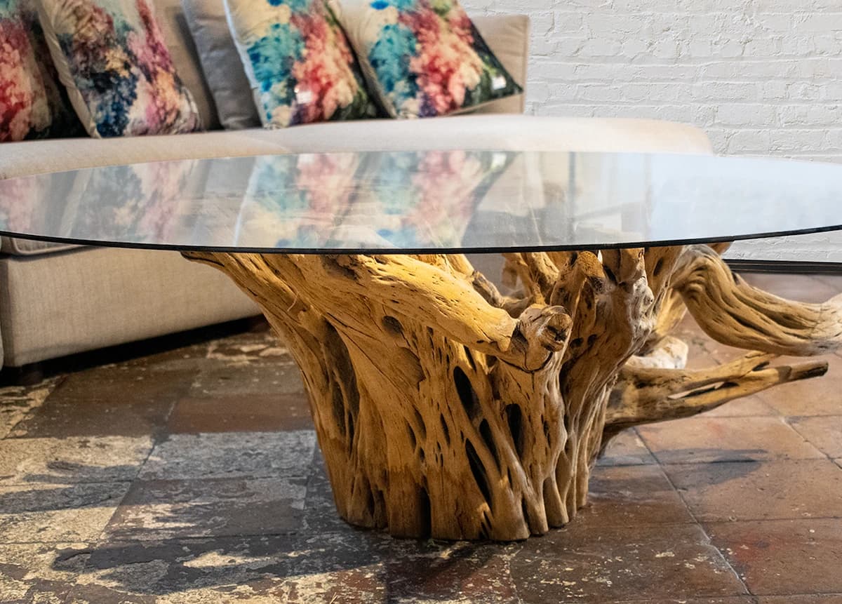 Cactus wood coffee table in a living room